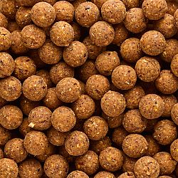 CAPERLAN Boilies na lov kapra NaturalSeed 16 mm 2 kg Konopné semeno - Tigrí orech