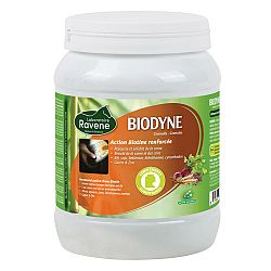 RAVENE Výživový doplnok pre kone a poníky - Biodyne 1 kg 1kg