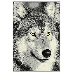 Sconto Koberec KOLIBRI 5 vlk sivý, 120x170 cm